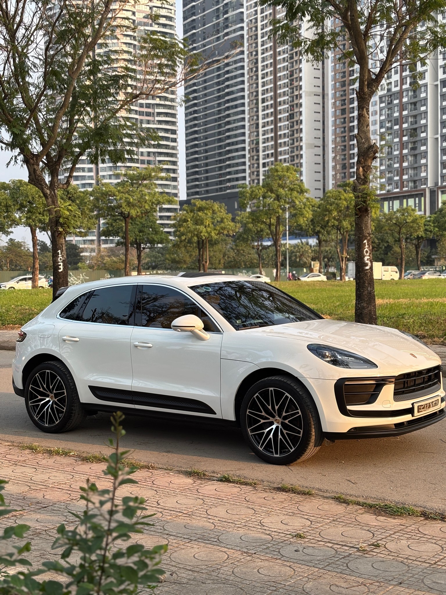PORSCHE MACAN x TITANIUM BCC