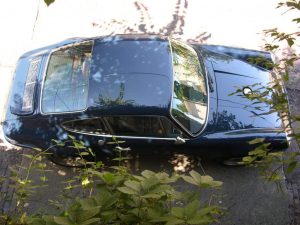 tẩy nhựa cây bám trên xe